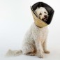 All Four Paws Hundekragen Comfy Cone XL 30 cm Hellbraun All Four Paws Hundekragen Comfy Cone XL 30 cm Hellbraun