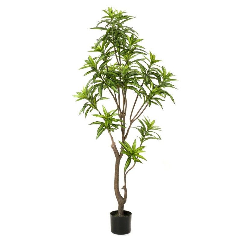 Emerald Künstlicher Drachenbaum 155 cm Grün Emerald Künstlicher Drachenbaum 155 cm Grün