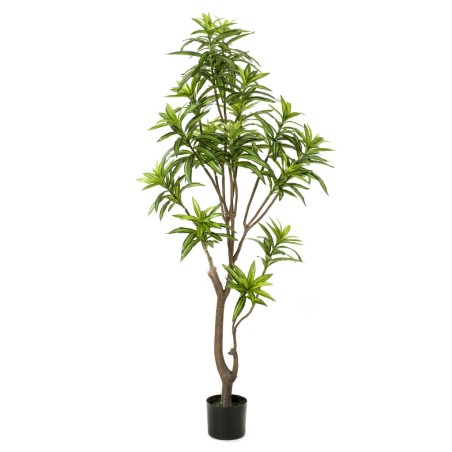 Emerald Künstlicher Drachenbaum 155 cm Grün 