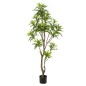 Emerald Künstlicher Drachenbaum 155 cm Grün Emerald Künstlicher Drachenbaum 155 cm Grün