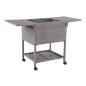 AXI Kühlwagen Country Rattan-Optik 76 L Braun AXI Kühlwagen Country Rattan-Optik 76 L Braun