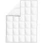 vidaXL Winter-Daunendecke 135x200 cm vidaXL Winter-Daunendecke 135x200 cm
