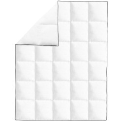 vidaXL Winter-Daunendecke 2 Stk. 150x200 cm