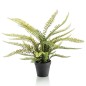 Emerald Kunstpflanze Farn Boston im Kunststoff-Topf 55 cm Emerald Kunstpflanze Farn Boston im Kunststoff-Topf 55 cm