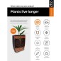 Capi Vase Nature Rib Elegant Deluxe 45x72 cm Anthrazit Capi Vase Nature Rib Elegant Deluxe 45x72 cm Anthrazit