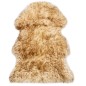vidaXL Schaffell-Teppich 60×90 cm Braun Mélange vidaXL Schaffell-Teppich 60×90 cm Braun Mélange