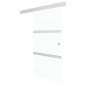 vidaXL Schiebetür ESG-Glas und Aluminium 76x205 cm Silbern vidaXL Schiebetür ESG-Glas und Aluminium 76x205 cm Silbern
