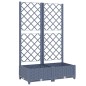 vidaXL Pflanzkübel mit Spalier Dunkelgrau 80x40x121,5 cm PP vidaXL Pflanzkübel mit Spalier Dunkelgrau 80x40x121,5 cm PP