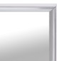 vidaXL Spiegel Silbern 100x60 cm vidaXL Spiegel Silbern 100x60 cm