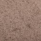 vidaXL Fußmatte Braun 60x80 cm vidaXL Fußmatte Braun 60x80 cm