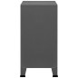 vidaXL Aufbewahrungstruhe Industrial Anthrazit 75x40x80 cm Stahl vidaXL Aufbewahrungstruhe Industrial Anthrazit 75x40x80 cm Stahl