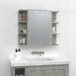 vidaXL Spiegelschrank mit LED Betongrau 70x16,5x60 cm vidaXL Spiegelschrank mit LED Betongrau 70x16,5x60 cm
