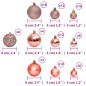 vidaXL Weihnachtskugeln 100 Stk. Rosa und Rose 3 / 4 / 6 cm vidaXL Weihnachtskugeln 100 Stk. Rosa und Rose 3 / 4 / 6 cm