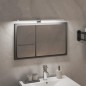 vidaXL LED-Spiegelleuchte 7,5 W Kaltweiß 50 cm 6000 K vidaXL LED-Spiegelleuchte 7,5 W Kaltweiß 50 cm 6000 K
