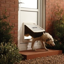 PetSafe Haustiertür 2-Wege 760 Groß 35,6x30,5 cm Weiß