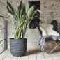 Capi Blumentopf Nature Row Oval 35 x 34 cm Anthrazit KRWZ932 Capi Blumentopf Nature Row Oval 35 x 34 cm Anthrazit KRWZ932