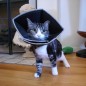All Four Paws Haustier-Halskragen Comfy Cone S 14 cm Schwarz All Four Paws Haustier-Halskragen Comfy Cone S 14 cm Schwarz