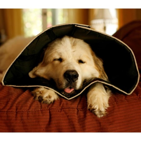 All Four Paws Hundekragen Comfy Cone XXL 37,5 cm Schwarz