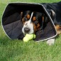 All Four Paws Hundekragen Comfy Cone XXL 37,5 cm Schwarz All Four Paws Hundekragen Comfy Cone XXL 37,5 cm Schwarz