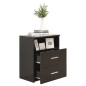 vidaXL Nachttische 2 Stk. Schwarz 50x32x60 cm vidaXL Nachttische 2 Stk. Schwarz 50x32x60 cm