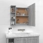 vidaXL Spiegelschrank mit LED Grau Sonoma 70x16,5x60 cm vidaXL Spiegelschrank mit LED Grau Sonoma 70x16,5x60 cm