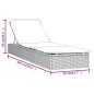 vidaXL Sonnenliege 1 Stk. mit Auflage Grau 201x55x62 cm Poly Rattan vidaXL Sonnenliege 1 Stk. mit Auflage Grau 201x55x62 cm Poly Rattan