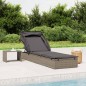 vidaXL Sonnenliege mit Faltdach Grau 213x63x97 cm Poly Rattan vidaXL Sonnenliege mit Faltdach Grau 213x63x97 cm Poly Rattan