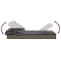 vidaXL Sonnenliege mit Faltdach Grau 213x63x97 cm Poly Rattan vidaXL Sonnenliege mit Faltdach Grau 213x63x97 cm Poly Rattan
