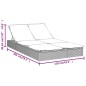 vidaXL Sonnenliege für 2 Personen mit Auflage Grau Poly Rattan vidaXL Sonnenliege für 2 Personen mit Auflage Grau Poly Rattan