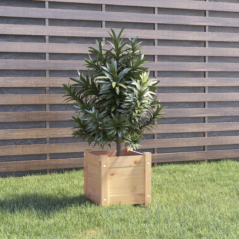 vidaXL Pflanzkübel 31x31x31 cm Massivholz Kiefer vidaXL Pflanzkübel 31x31x31 cm Massivholz Kiefer