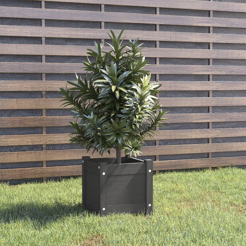 vidaXL Pflanzkübel Grau 31x31x31 cm Massivholz Kiefer vidaXL Pflanzkübel Grau 31x31x31 cm Massivholz Kiefer