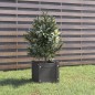 vidaXL Pflanzkübel Grau 31x31x31 cm Massivholz Kiefer vidaXL Pflanzkübel Grau 31x31x31 cm Massivholz Kiefer