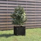 vidaXL Pflanzkübel Schwarz 31x31x31 cm Massivholz Kiefer vidaXL Pflanzkübel Schwarz 31x31x31 cm Massivholz Kiefer