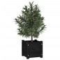 vidaXL Pflanzkübel 2 Stk. Schwarz 31x31x31 cm Massivholz Kiefer vidaXL Pflanzkübel 2 Stk. Schwarz 31x31x31 cm Massivholz Kiefer