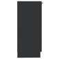 vidaXL Sideboards 2 Stk. Schwarz 30x30x70 cm Holzwerkstoff vidaXL Sideboards 2 Stk. Schwarz 30x30x70 cm Holzwerkstoff