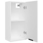 vidaXL Wand-Badschrank Weiß 32x20x67 cm vidaXL Wand-Badschrank Weiß 32x20x67 cm
