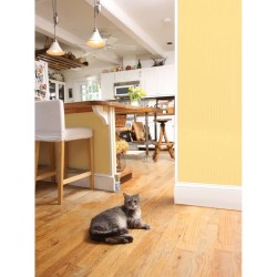 PetSafe Fernhaltespray für Katzen und Hunde Ssscat 1 m