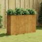 vidaXL Hochbeet 120x40x80 cm Cortenstahl vidaXL Hochbeet 120x40x80 cm Cortenstahl