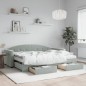 vidaXL Tagesbett Ausziehbar mit Schubladen Hellgrau 80x200 cm Samt vidaXL Tagesbett Ausziehbar mit Schubladen Hellgrau 80x200 cm Samt