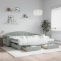vidaXL Tagesbett Ausziehbar mit Schubladen Hellgrau 100x200 cm Samt vidaXL Tagesbett Ausziehbar mit Schubladen Hellgrau 100x200 cm Samt