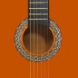 vidaXL Klassische Gitarre für Anfänger 4/4 39" Lindenholz vidaXL Klassische Gitarre für Anfänger 4/4 39" Lindenholz
