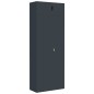 vidaXL Aktenschrank Anthrazit 90x40x240 cm Stahl vidaXL Aktenschrank Anthrazit 90x40x240 cm Stahl
