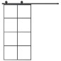 vidaXL Schiebetür mit Beschlag 102,5x205 cm ESG-Glas & Aluminium