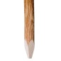 vidaXL Zaunpfosten mit Spitzen Enden 4 Stk. Haselholz 90 cm vidaXL Zaunpfosten mit Spitzen Enden 4 Stk. Haselholz 90 cm