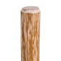 vidaXL Zaunpfosten mit Spitzen Enden 4 Stk. Haselholz 90 cm vidaXL Zaunpfosten mit Spitzen Enden 4 Stk. Haselholz 90 cm