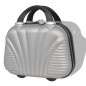 vidaXL Vierteiliges Hartschalen-Trolley-Set Silber vidaXL Vierteiliges Hartschalen-Trolley-Set Silber