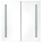 vidaXL LED-Spiegelschrank 60x14x62 cm vidaXL LED-Spiegelschrank 60x14x62 cm