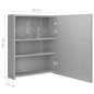 vidaXL LED-Bad-Spiegelschrank Betongrau 50x14x60 cm vidaXL LED-Bad-Spiegelschrank Betongrau 50x14x60 cm