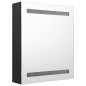 vidaXL LED-Bad-Spiegelschrank Schwarz 50x14x60 cm vidaXL LED-Bad-Spiegelschrank Schwarz 50x14x60 cm