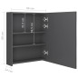 vidaXL LED-Bad-Spiegelschrank Grau 50x14x60 cm vidaXL LED-Bad-Spiegelschrank Grau 50x14x60 cm